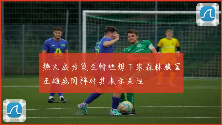 热火成为莫兰特理想下家森林狼国王雄鹿同样对其表示关注