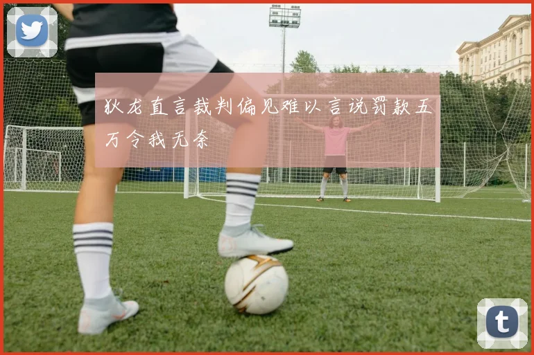 狄龙直言裁判偏见难以言说罚款五万令我无奈